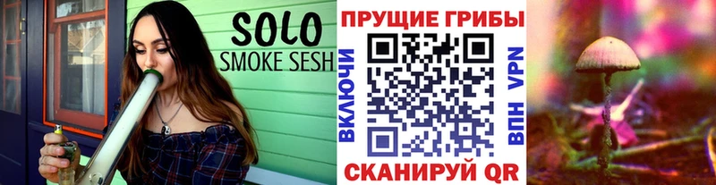 Галлюциногенные грибы Cubensis  гидра ТОР  Нововоронеж 