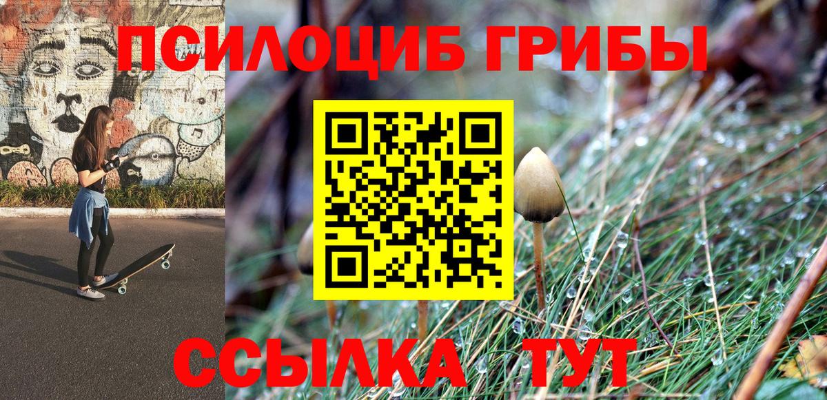 Псилоцибиновые грибы GOLDEN TEACHER Нововоронеж