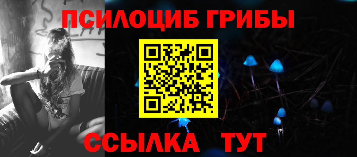 Нововоронеж  Галлюциногенные грибы мухоморы  Вход с VPN 