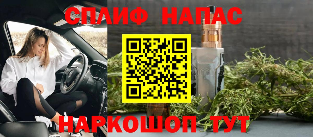 Каннабис конопля Нововоронеж